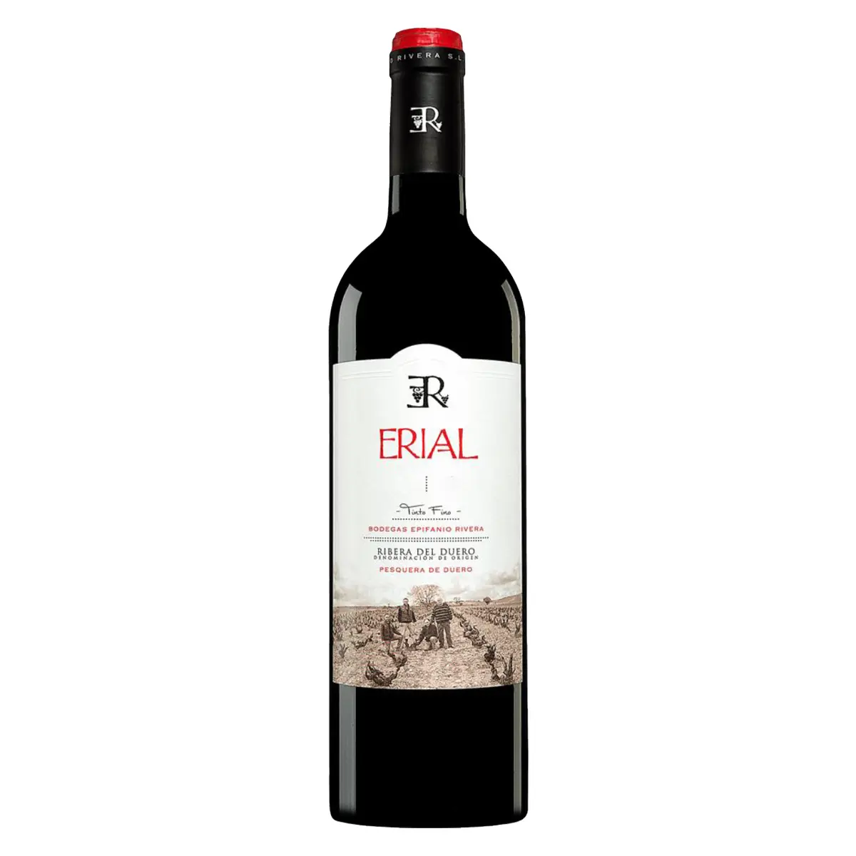 Erial TF Tradicion Familiar