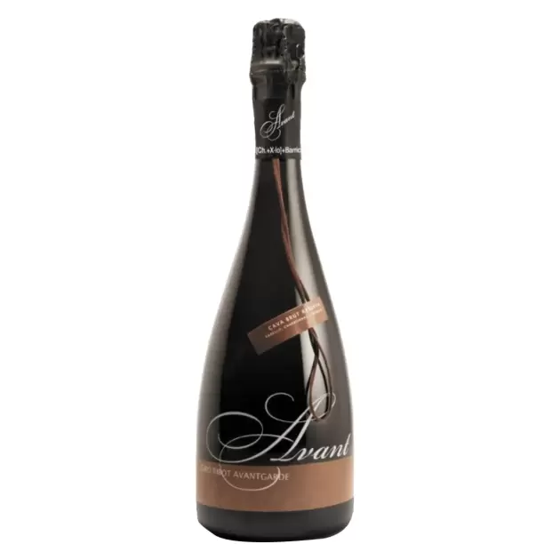 Giro Ribot Avant Brut